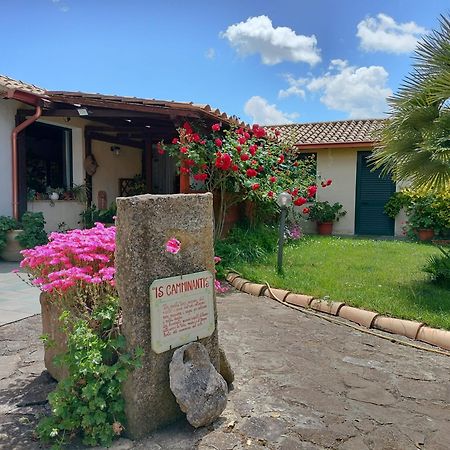 B&B Is Camminantis Nurallào 外观 照片