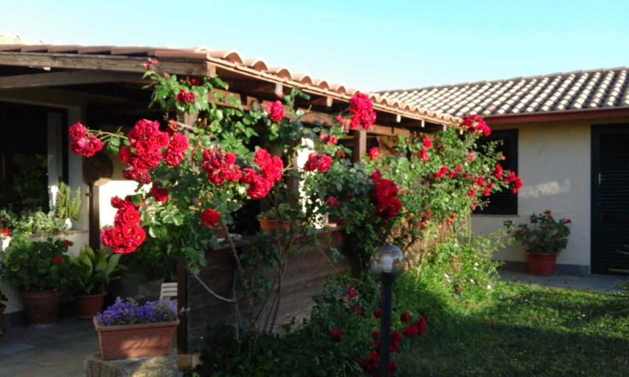 B&B Is Camminantis Nurallào 外观 照片
